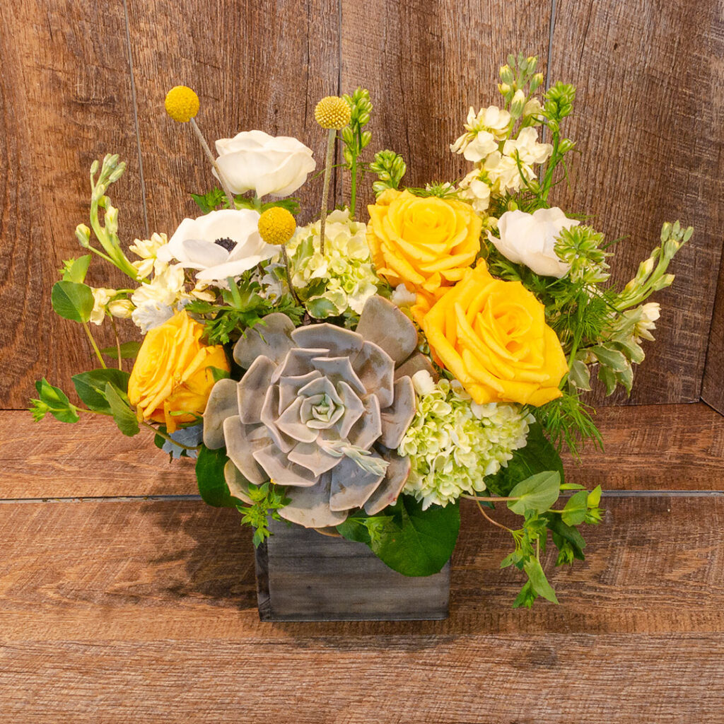 Product Photography | Carl's Flowers | 03